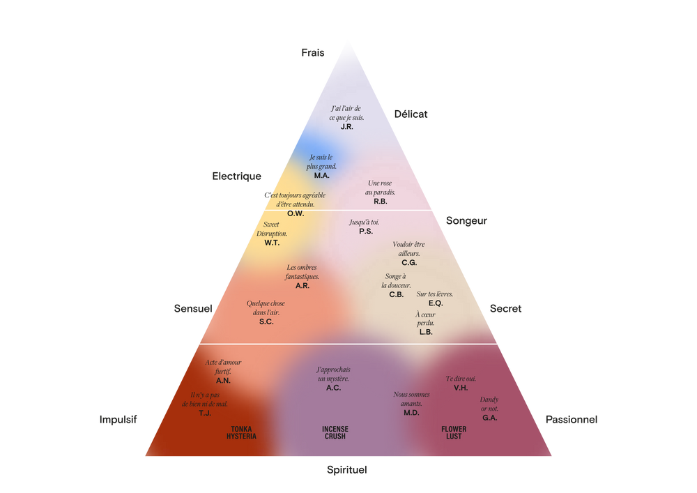 OLFACTORY PYRAMID