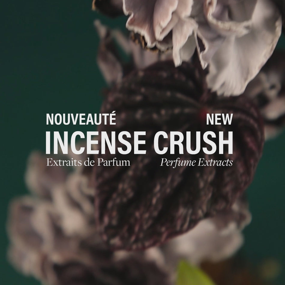 Extrait de Parfum Incense Crush | D'ORSAY Paris